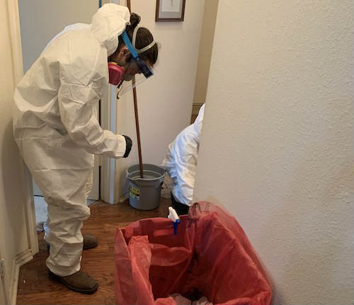 Trauma Cleaning Services Trauma Cleaning Services