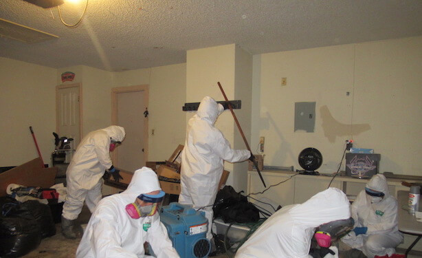 Team Cleans Up Dead Bodies Team Cleans Up Dead Bodies